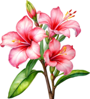 ai gegenereerd waterverf schilderij van Impala lelie, adenium multiflorum png