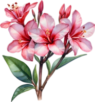 AI generated Watercolor painting of Impala Lily, Adenium multiflorum png