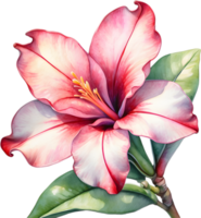 AI generated Watercolor painting of Impala Lily, Adenium multiflorum png