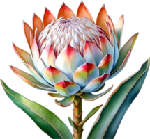 AI generated Watercolor painting of King Protea flower. png