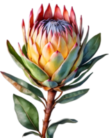 ai gerado aguarela pintura do rei protea flor. png