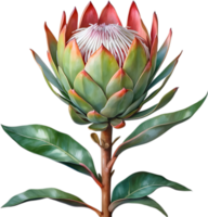 ai gegenereerd waterverf schilderij van koning protea bloem. png