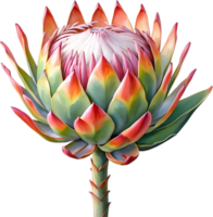 ai gerado aguarela pintura do rei protea flor. png