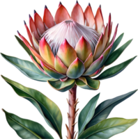 ai gerado aguarela pintura do rei protea flor. png