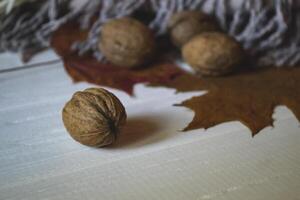 The wanuts on the white wooden background, near warm scarf. Close up. photo