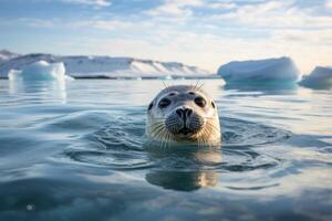 ai generado hermosa imagen de un linda pequeño blanco sello, pusa, en sus natural habitat en el ártico Oceano foto