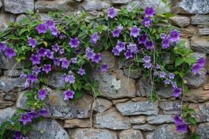 ai generado floración pared campanilla campánula portenschlagiana. foto