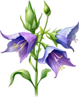 AI generated Watercolor painting of Creeping bellflower flower. png