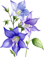 ai généré aquarelle La peinture de rampant campanule fleur. png