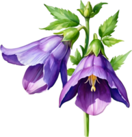 AI generated Watercolor painting of Creeping bellflower flower. png