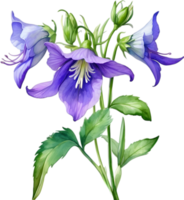 AI generated Watercolor painting of Creeping bellflower flower. png