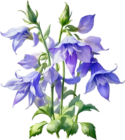 AI generated Watercolor painting of Creeping bellflower flower. png