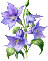 AI generated Watercolor painting of Creeping bellflower flower. png