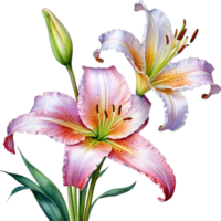 AI generated Watercolor painting of Ditch lily flower. png