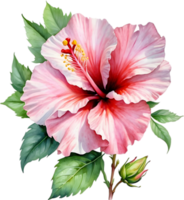 AI generated Watercolor painting of Rose of Sharon ,Hibiscus syriacus. png