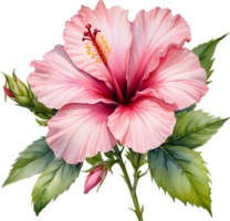 AI generated Watercolor painting of Rose of Sharon ,Hibiscus syriacus. png