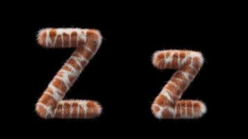 3D animation of a uppercase and lowercase woolen letter Z. Wool in the style of the Giraffe animal. The file contains an Alpha Channel. ProRes4 RGBA video