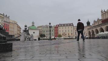 man gående genom krakow huvud fyrkant, bak- se av en man gående ensam tvärs över de våt kullersten av krakows historisk huvud fyrkant på en molnig dag. video