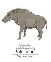 Entelodont, also known as the hell pig, was a large pig-like mammal from the Oligocene epoch. vector