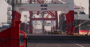 Containers and cranes near the port in Aomi Tokyo video