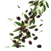 AI generated Fresh olives falling in air, healthy and organic food, AI generated, PNG transparent with shadow