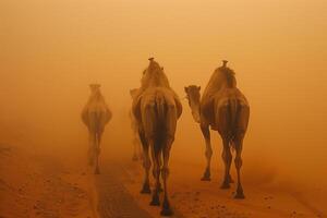 AI generated Camel caravan through the sahara desert in a sand storm.Generative Ai photo