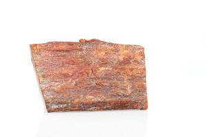 macro stone mineral petrified wood on a white background photo