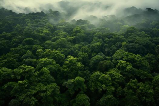 AI generated Aerial view of a lush, green forest canopy stretching for miles. Generative AI photo