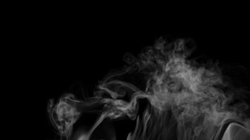 tunn swirly rök, närbild skott- vfx element isolerat på svart bakgrund, 4k proffs res, 60 fps video