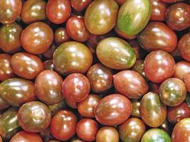 Tomatoes on wooden background video