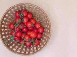 Tomatoes on wooden background video