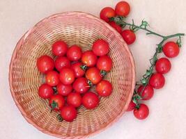 Tomatoes on wooden background video