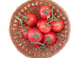 Tomatoes on wooden background video