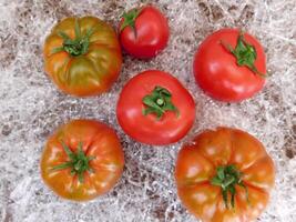 Tomatoes on wooden background video