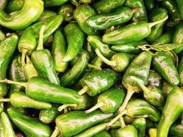 Peppers on wooden background video