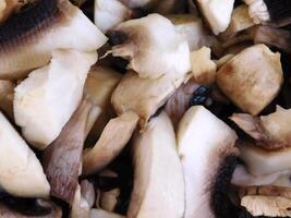 Mushrooms on wooden background video