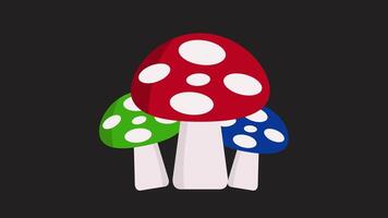 Mushroom illustrated on white background video
