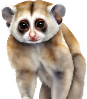 ai généré aquarelle La peinture de une mignonne lent loris. png