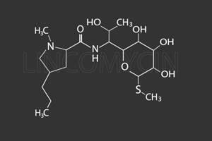 lincomicina molecular esquelético químico fórmula vector