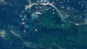 personas nadando y buceo libre en Oceano con el plastico contaminación en tulamben, bali video