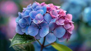 AI generated Close up of Purple and Blue Flower photo