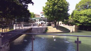 isola della pescheria dentro Treviso dentro Itália 6 video