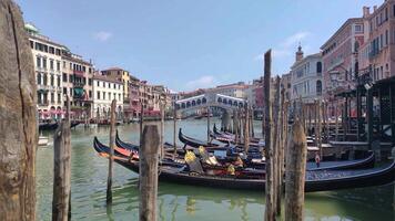 Rialto Bridge with gondolas in Venice, Italy video