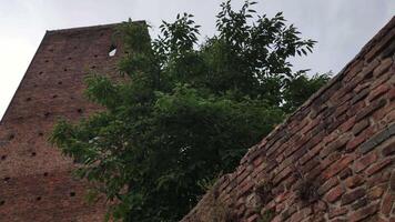 Ancient Towers in Rovigo in Italy 9 video