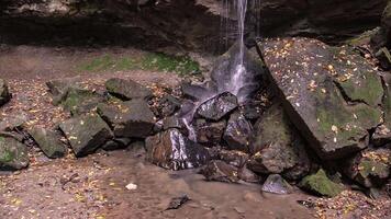 Detail of the schivanoia waterfall 2 video