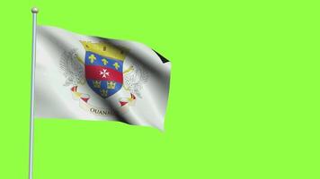 Saint Brathelemy Flag Slow Motion video