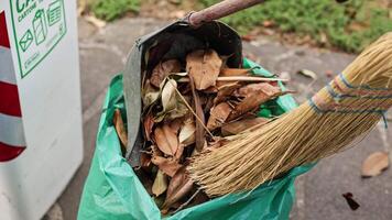 Collection sweeping leaves video