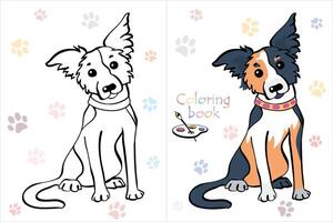 Coloring Book page funny Border Collie vector