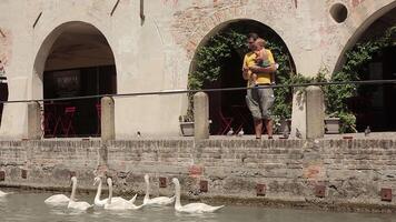TREVISO ITALY 14 AUGUST 2020 Isola della pescheria in Treviso in Italy with people video