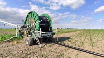 VILLANOVA DEL GHEBBO ITALY 7 MAY 2020 Hose reel sprinkler in action in a corn field video